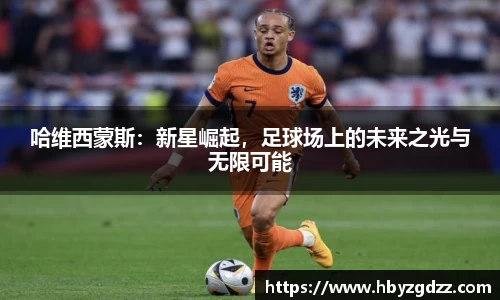 完美体育