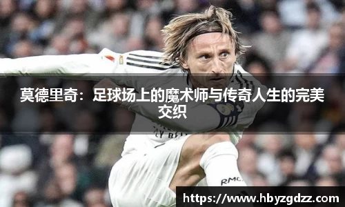 完美体育app下载安装