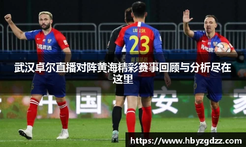 完美体育在线入口官网